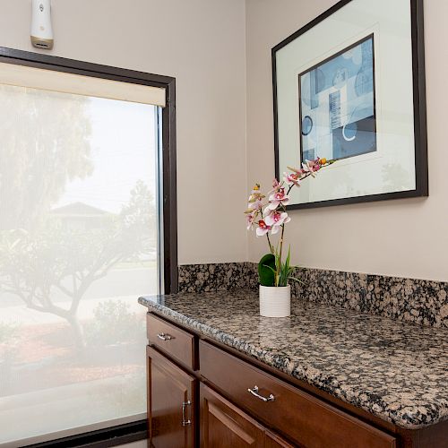 The image shows a room with a granite countertop, wooden cabinets, a potted orchid, a framed abstract painting, and a window with a tree outside.