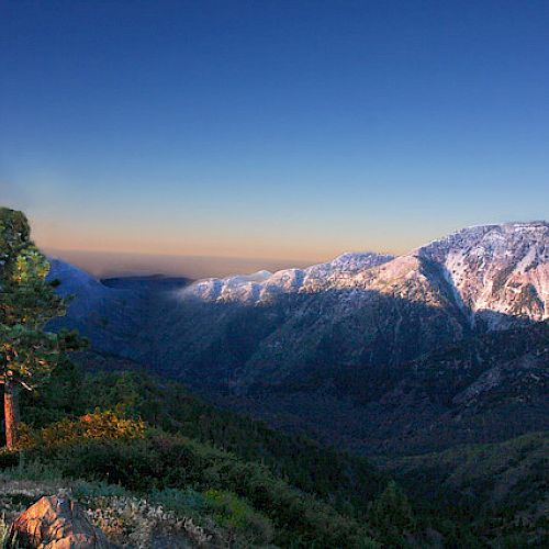 The image shows a scenic mountain landscape with snow-capped peaks, a lone tree in the foreground, and a clear blue sky during sunrise or sunset.